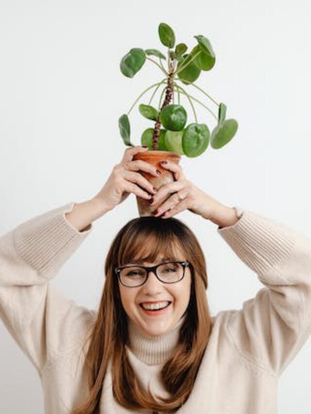 These Beautiful House Plants Can Also Help Boost Your Mood